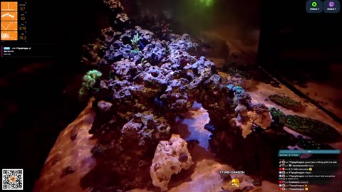 24/7 Real Live Reef Stream