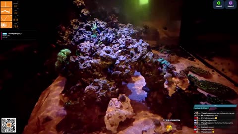 24/7 Real Live Reef Stream