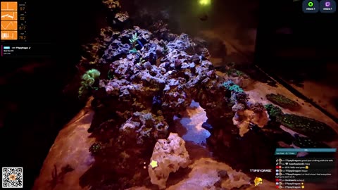 24/7 Real Live Reef Stream