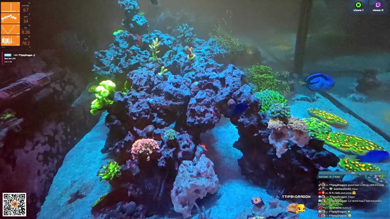 24/7 Real Live Reef Stream