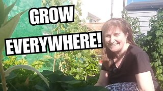 July Garden Tour 🌿 Stop Caring What the Neighbours Think
