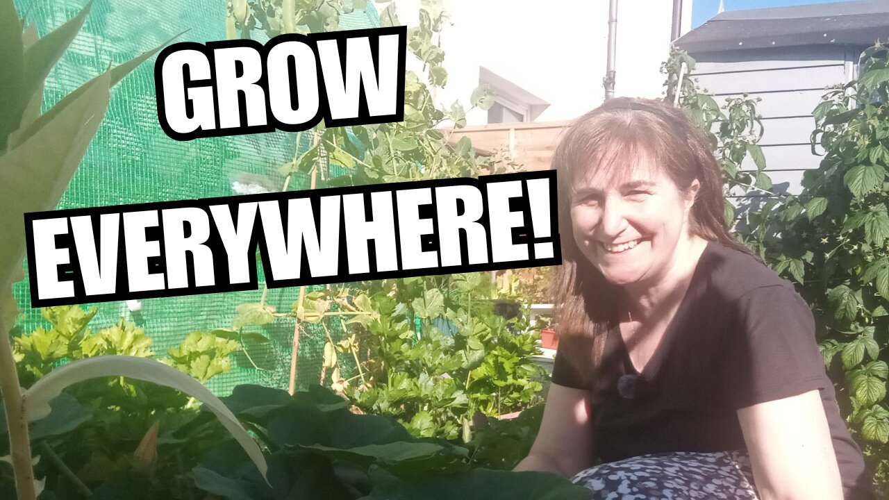 July Garden Tour 🌿 Stop Caring What the Neighbours Think