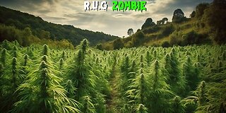 Smoke Sesh and Chill