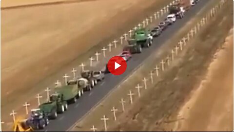 South Africa confiscated 300,000 guns from White Farmers. This is how many have been killed in 4yrs.