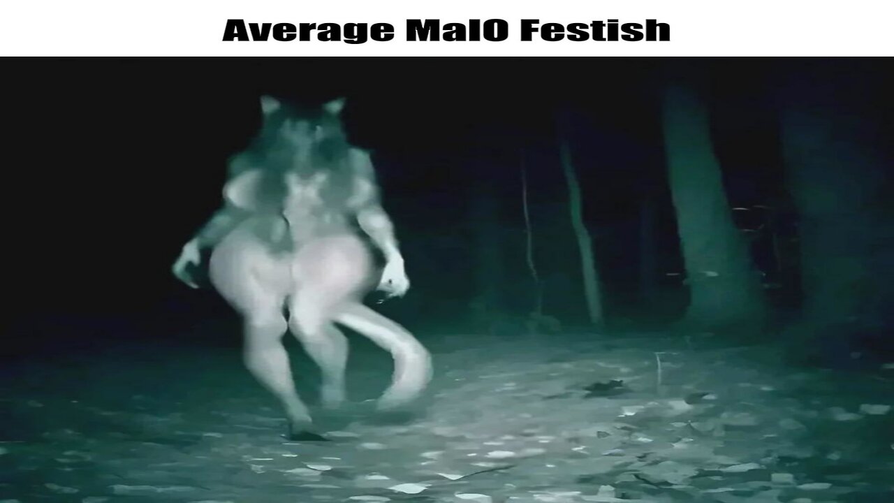 SCP Memes
