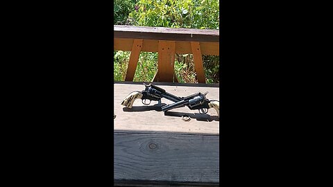 Ruger Blackhawk FlatTop 44 Special's