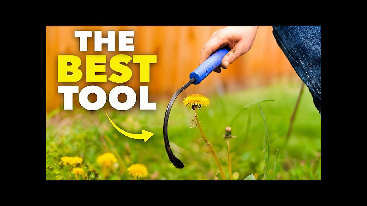 The Genius Tool that Removes Weeds Instantly