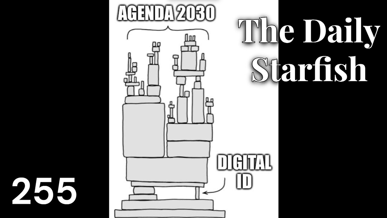 The Daily Starfish #255