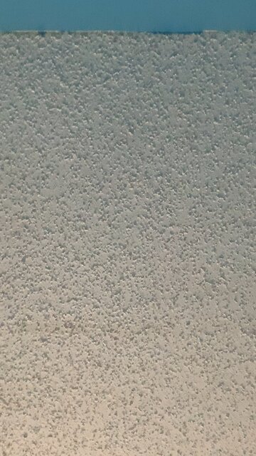 Nothing burger type video