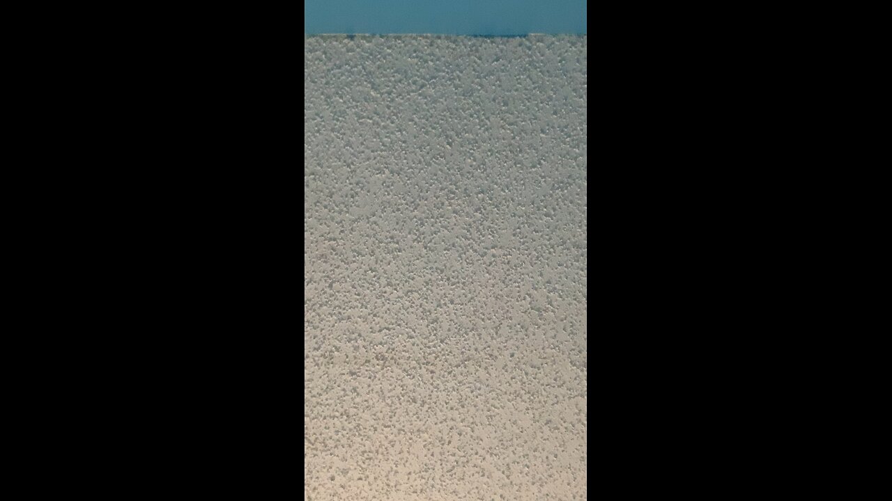 Nothing burger type video