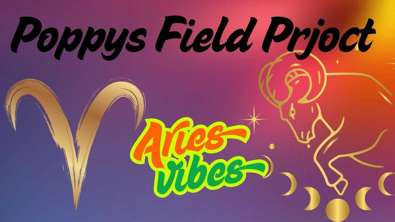 3/26/2025 Poppy's Field Project