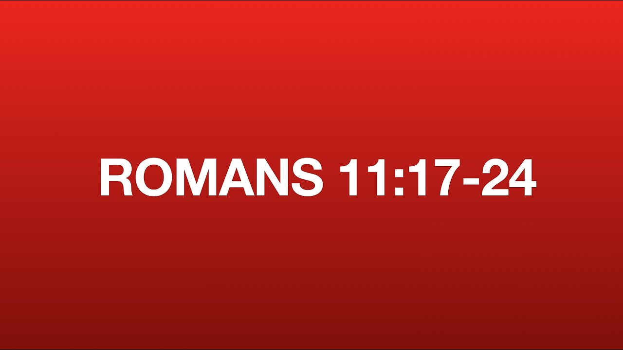 Romans 11:17-24