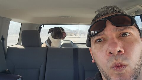 The Epstein Files Walk Along