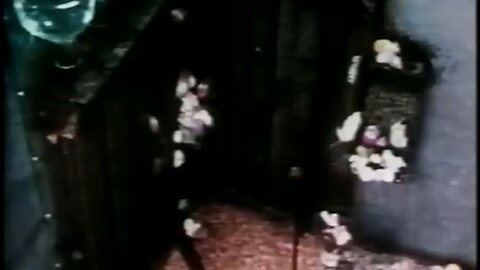 Das Experiment, das uns das Ende der Menschheit zeigte