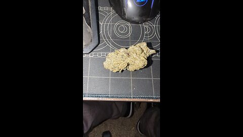 Snowball from Wisconsin