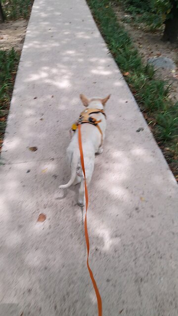 20250613. God Is My LORD. My Father Jesus Christ. Amen.