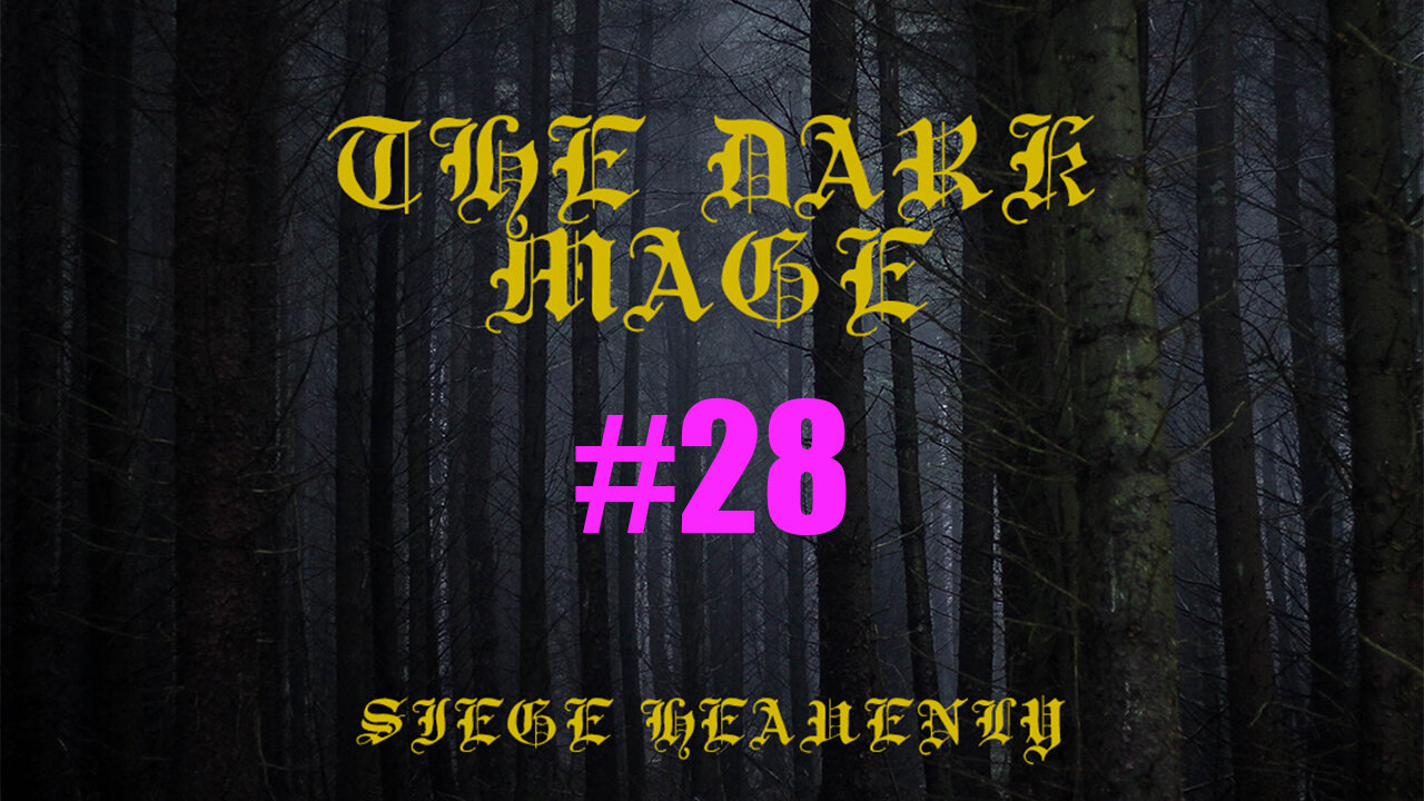 The Dark Mage - Chapter 28: Vixie's Civil Reforms