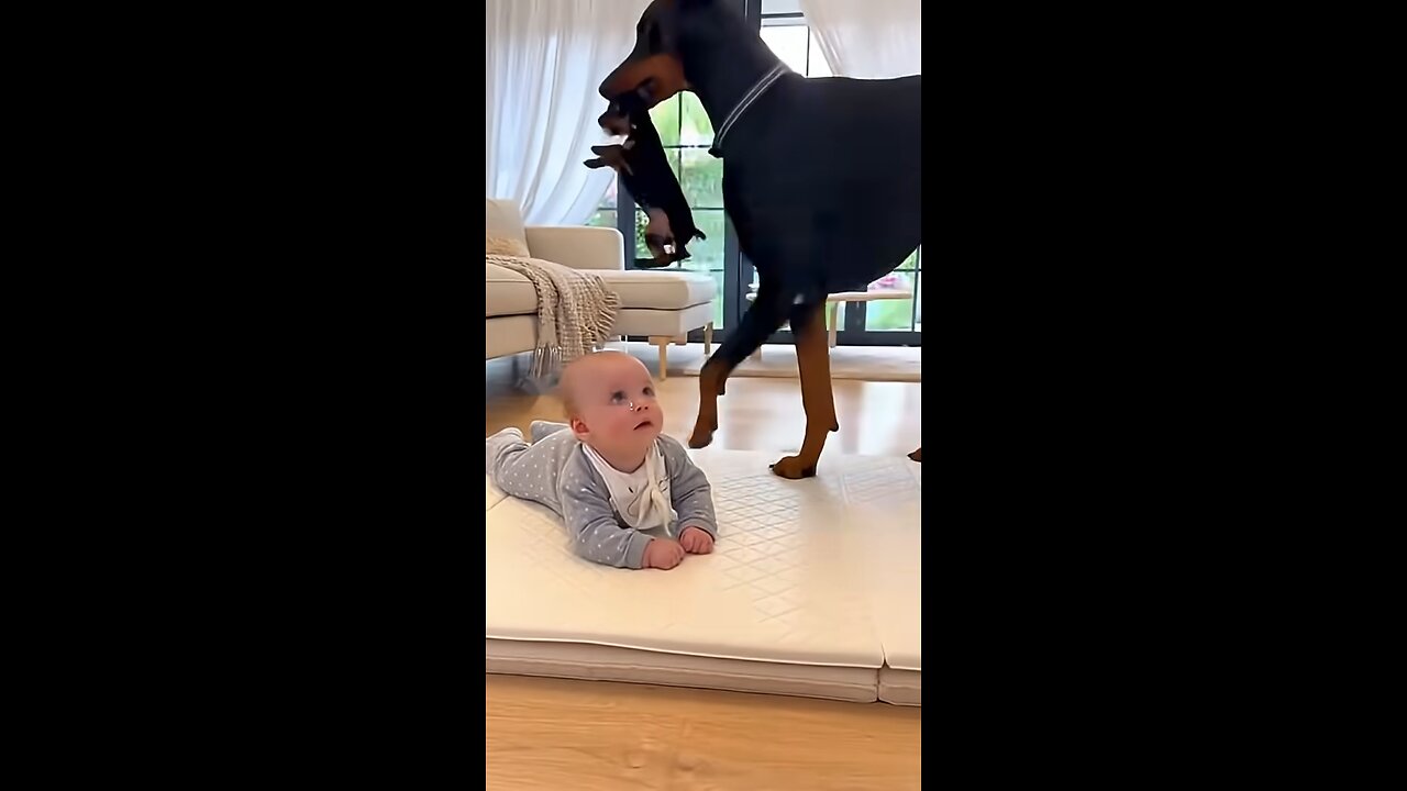The little puppy provoked the human cub, and was picked up by the "parent" in a second! 😂