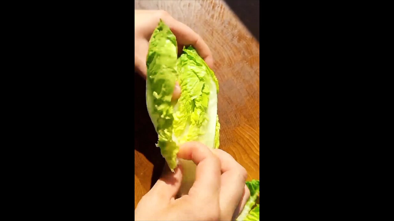 **Caesar Salad with Parmesan Cheese**