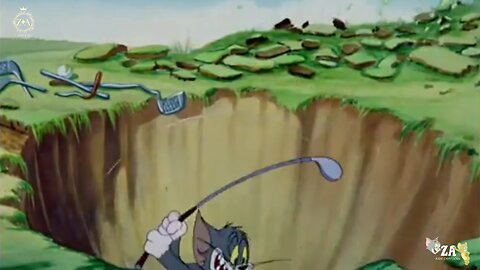 Tom and Jerry Cartoons