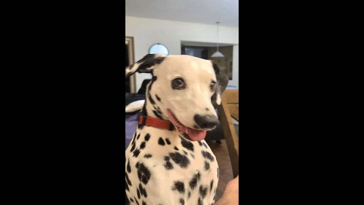 Luna Hick-ups AI generated