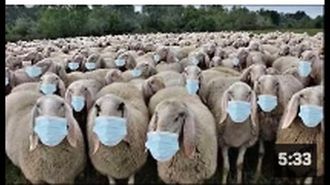 "Unthinking Followers Characterized as 'Brain Dead Sheeple'"