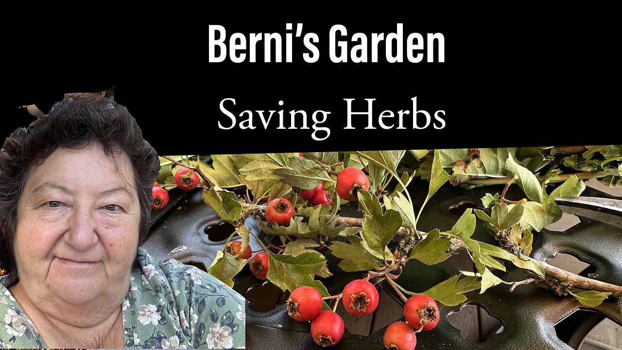 Herb Collecting