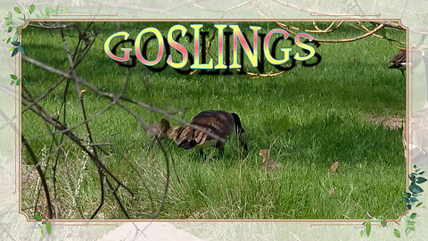 It's Spring!