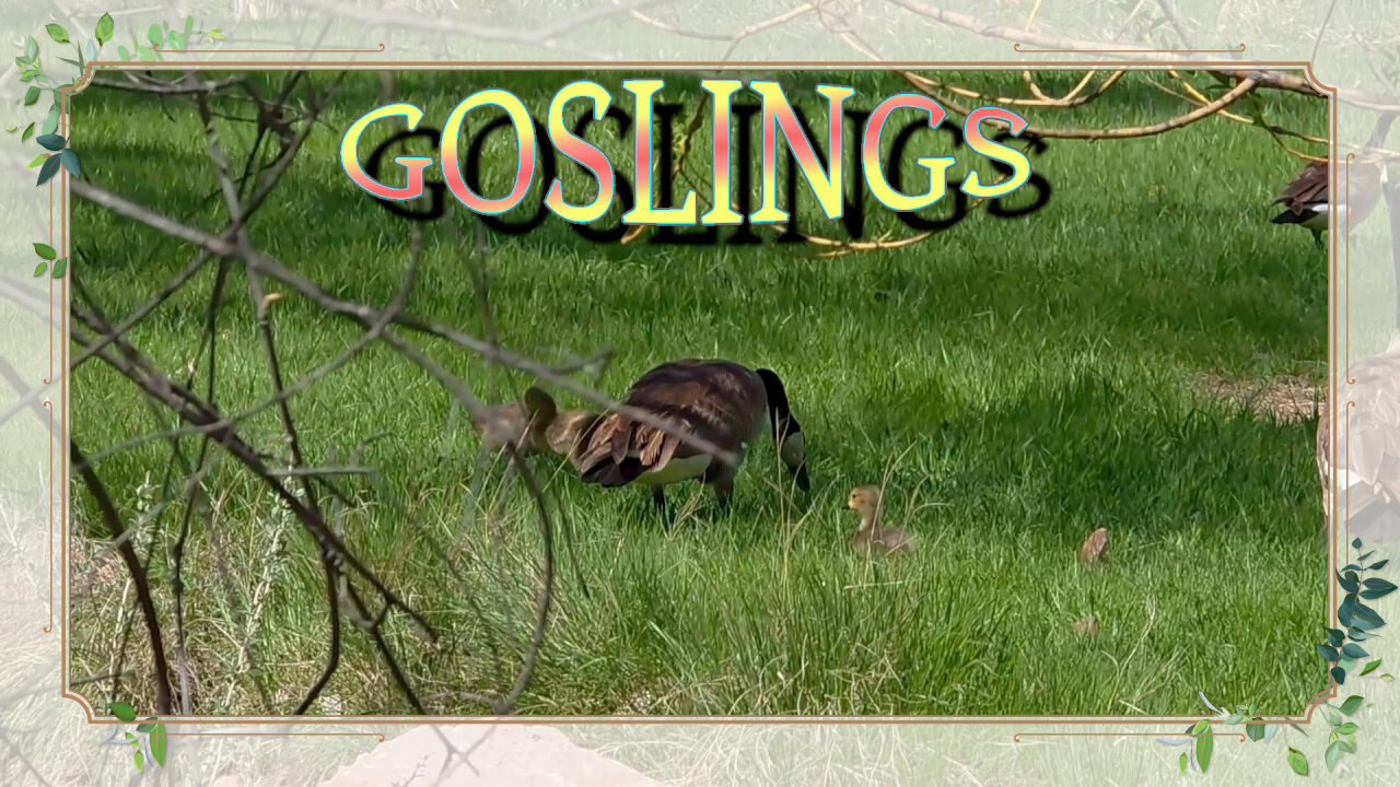 It's Spring!