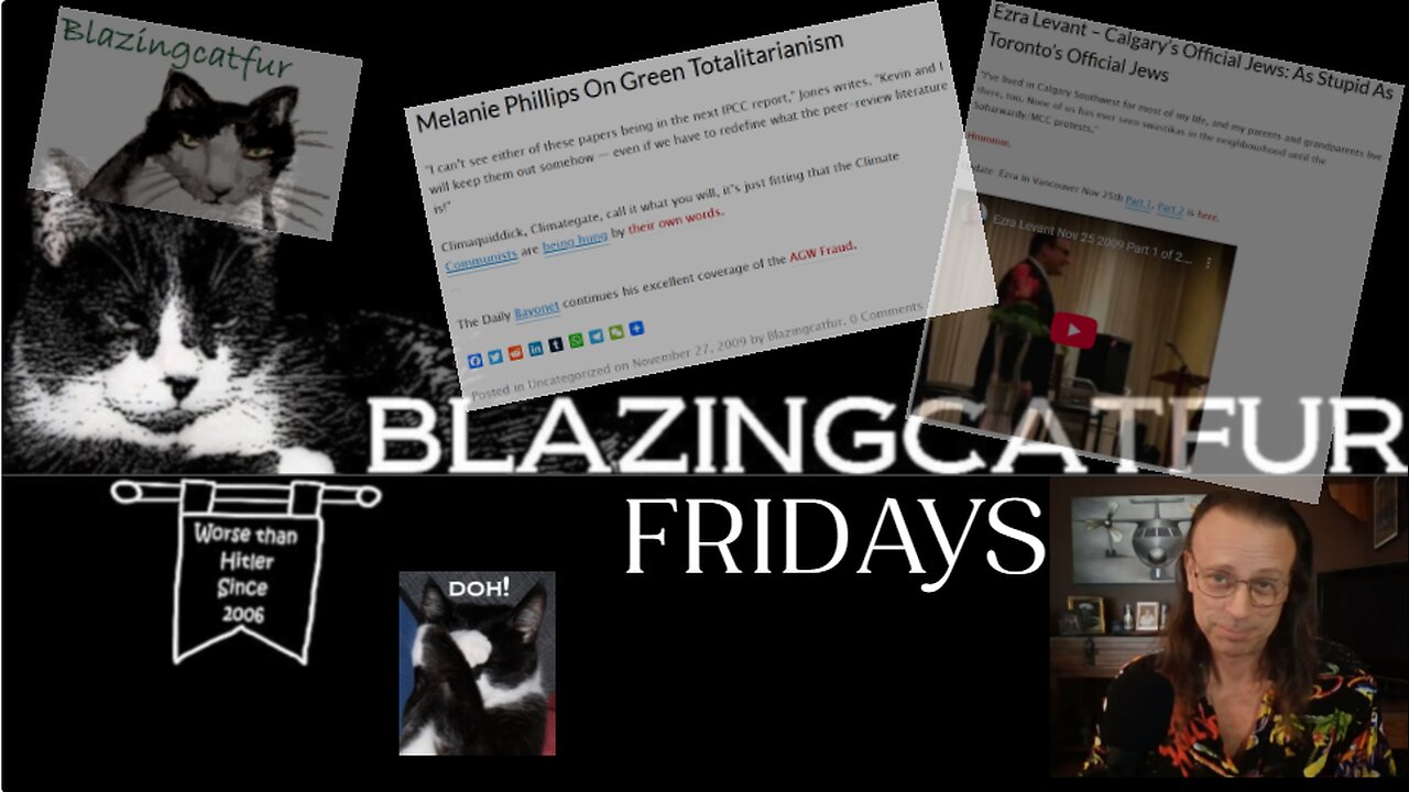 Blazing Cat Fur Fridays