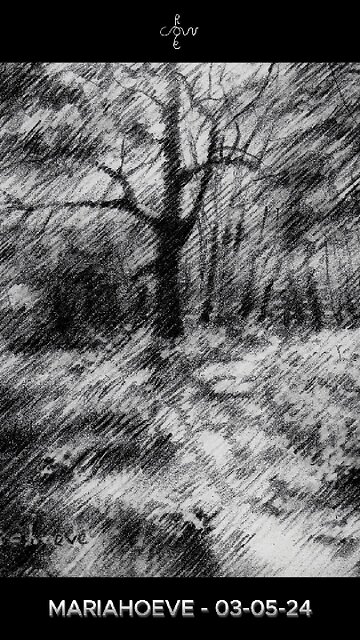 Mariahoeve – 03-05-24