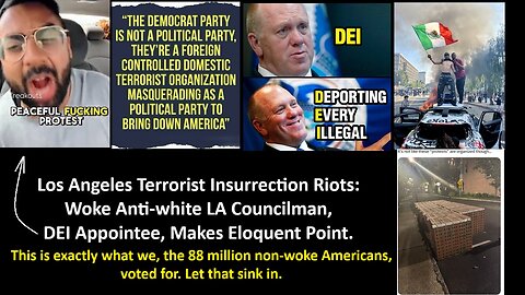 Los Angeles Terrorist Insurrection Riots: Woke Anti-white LA Councilman, DEI Appointee, Makes Eloquent Point.