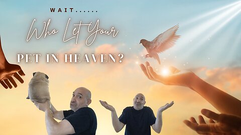 Who Let Your Pet in Heaven?