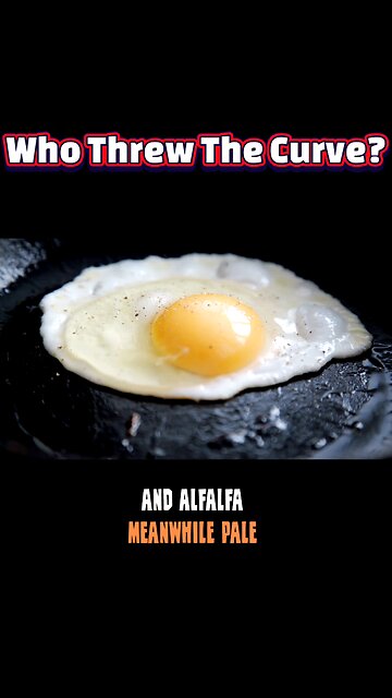 Cracking the Code: What Farmers Want You to Know About Darker Egg Yolks