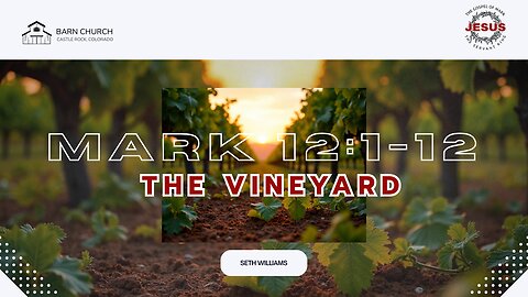 Gospel of Mark - The Vineyard