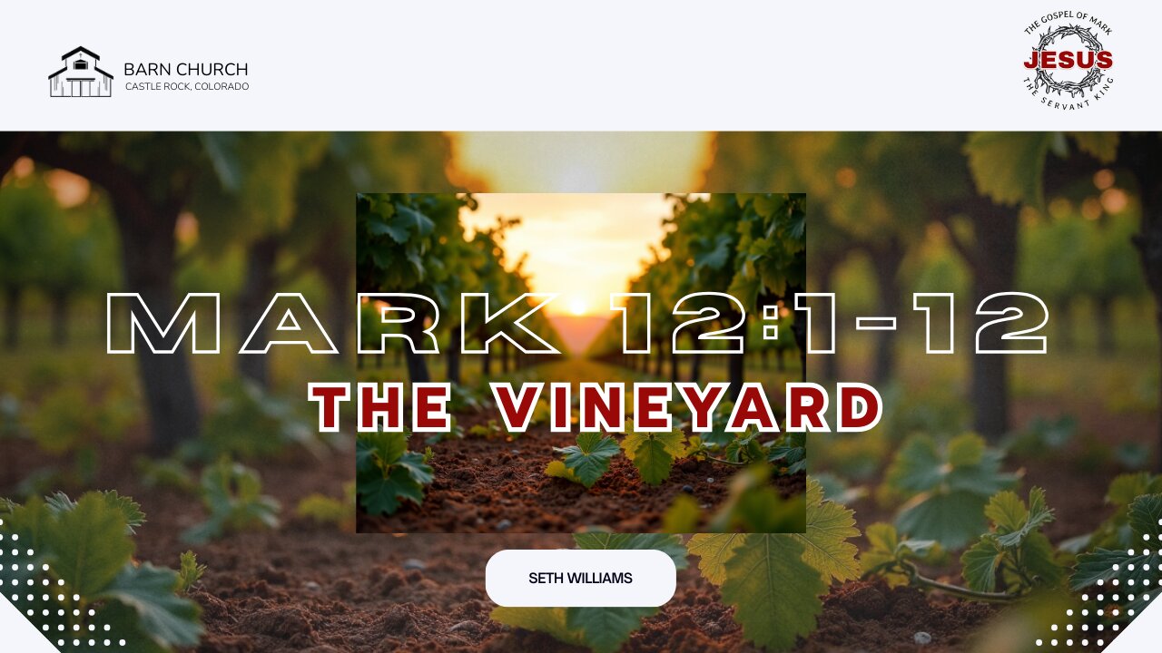 Gospel of Mark - The Vineyard