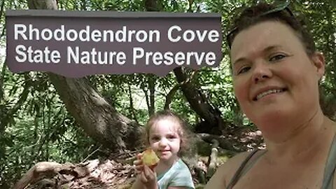 Rhododendron Cove State Nature Preserve