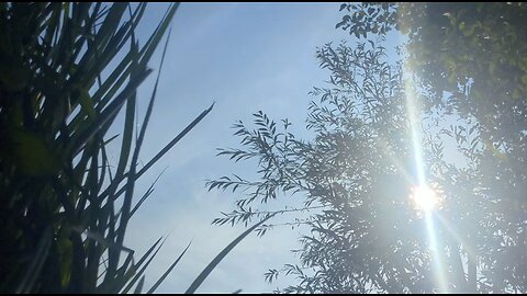 Monodruid (Live) Sevenoaks — Wildlife Reserve (8th August, 2025)