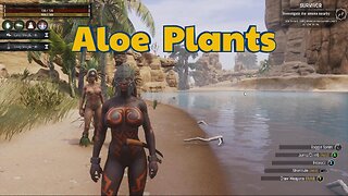 Conan Exiles naked Beginners guide Aloe Plants location and use Busty boobs #conanExiles