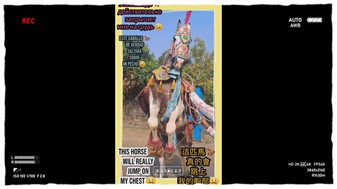 join me in this cultural extravaganza! #Viral #Trending #ForYou #Explore #FYP #ContentCreator