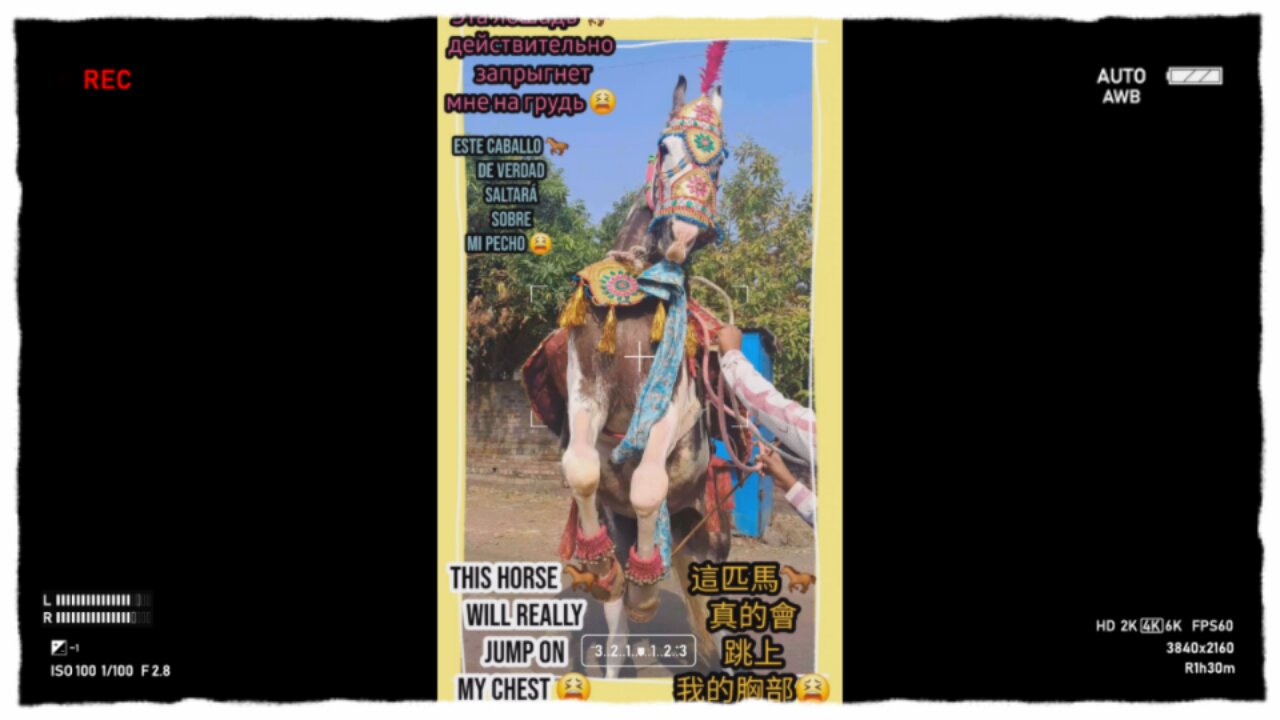 join me in this cultural extravaganza! #Viral #Trending #ForYou #Explore #FYP #ContentCreator