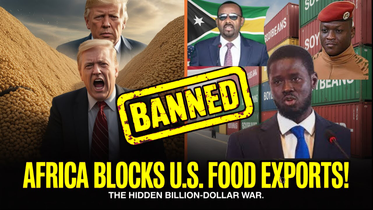 Why Africa Blocked U.S. Soybeans - The Hidden Billion Dollar Food War