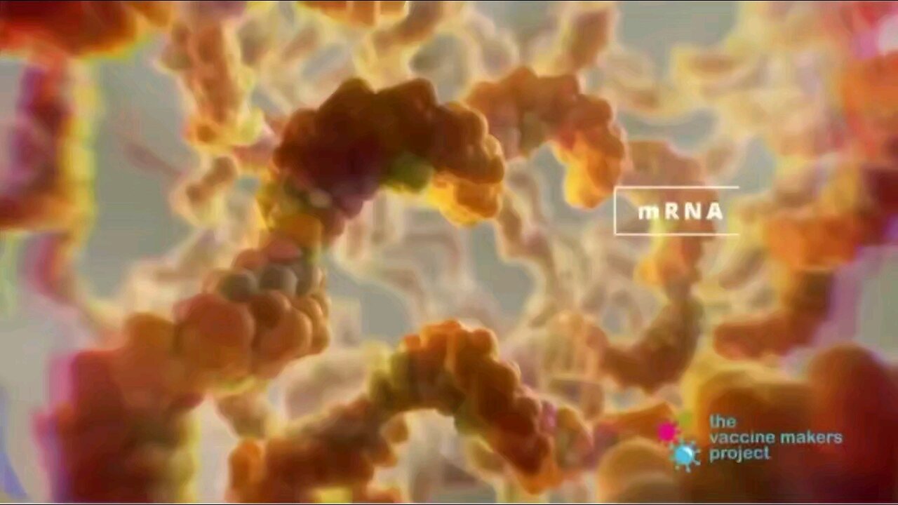 Your body wasn't built for the C-19 (mRNA) - and now millions are paying the price.