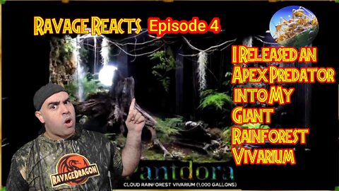 Ravage Reacts : Episode 4 : I Released an Apex Predator into My Giant Rainforest Vivarium