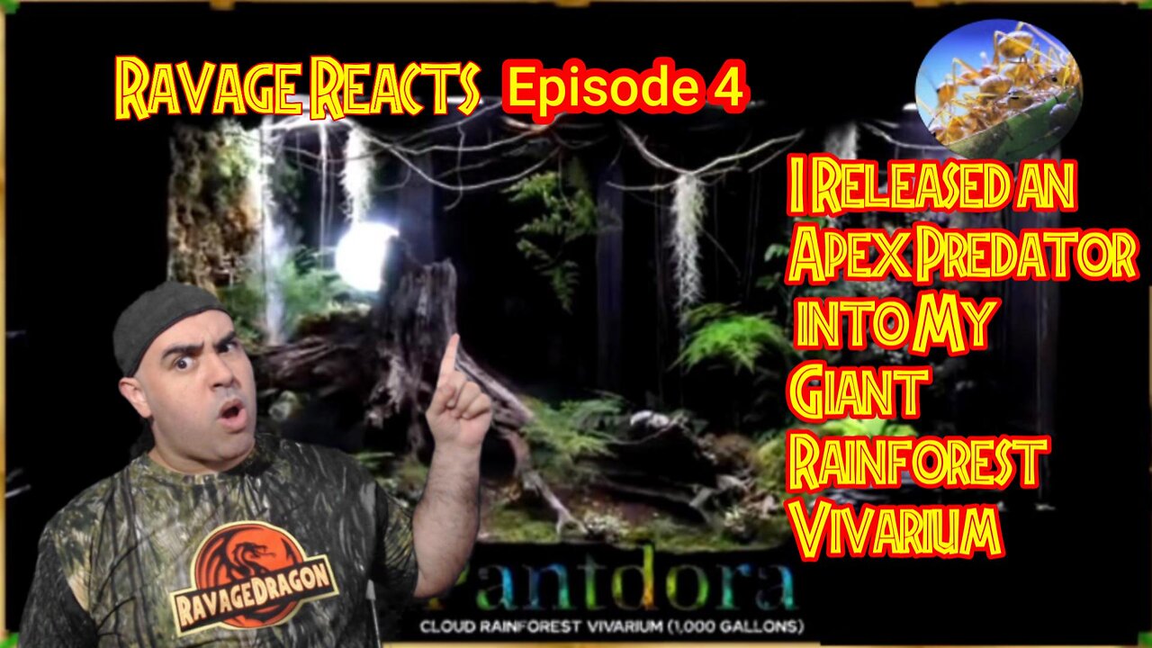 Ravage Reacts : Episode 4 : I Released an Apex Predator into My Giant Rainforest Vivarium