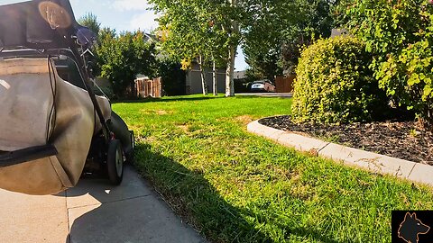 Yard #6 | Helping a Neighbor from Nextdoor | The Aestheticlawns Project