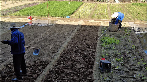 Vietnamese Farmers Preparing Garden Beds for Vegetable Planting | Rural Daily Life