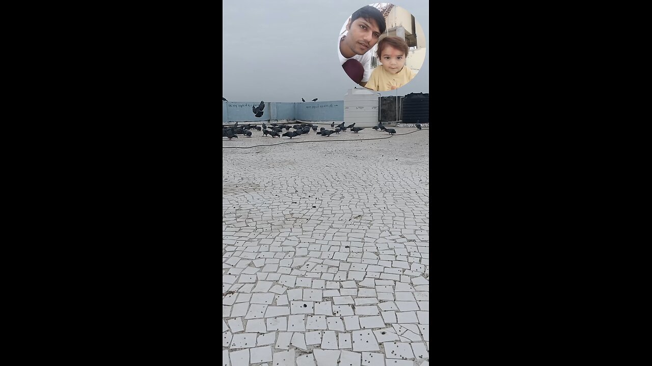 jivdaya mehsana 🥰🌹🥰🥰