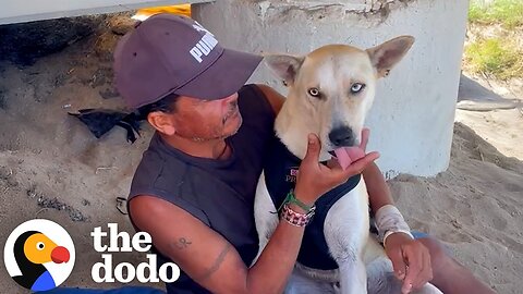 Sometimes Saying Goodbye Is The Greatest Act Of Love | The Dodo