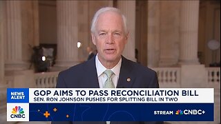 Sen Ron Johnson: DOGE Has Shown Us The Way